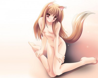 Konachan.com - 28886 animal_ears brown_eyes brown_hair horo long_hair nude spice_and_wolf tail white wolfgirl.jpg
