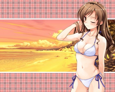 Konachan.com - 64568 bikini blush cleavage deep_blue_sky_&_pure_white_wings misaki_kurehito swimsuit.jpg