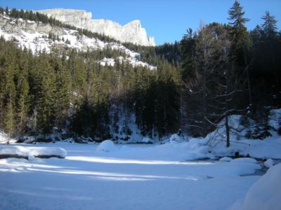 Cliquez pour voir l'image en taille réelle