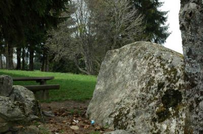 Cliquez pour voir l'image en taille réelle