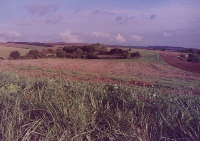 Cliquez pour voir l'image en taille réelle